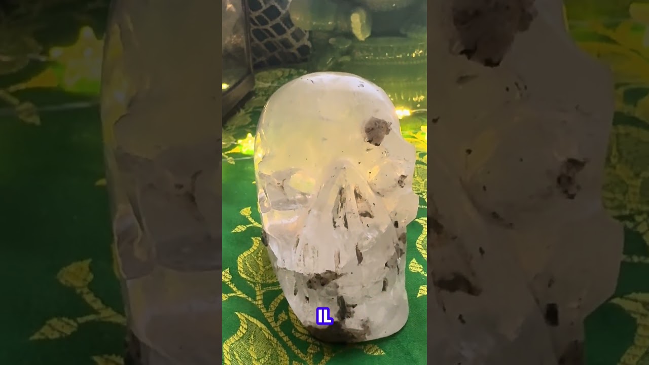 Les crânes de cristal 🩵 l’histoire d’un petit crâne.partie 5 