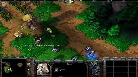 Warcraft III on Asus EEEPC 1000HE running in Linux
