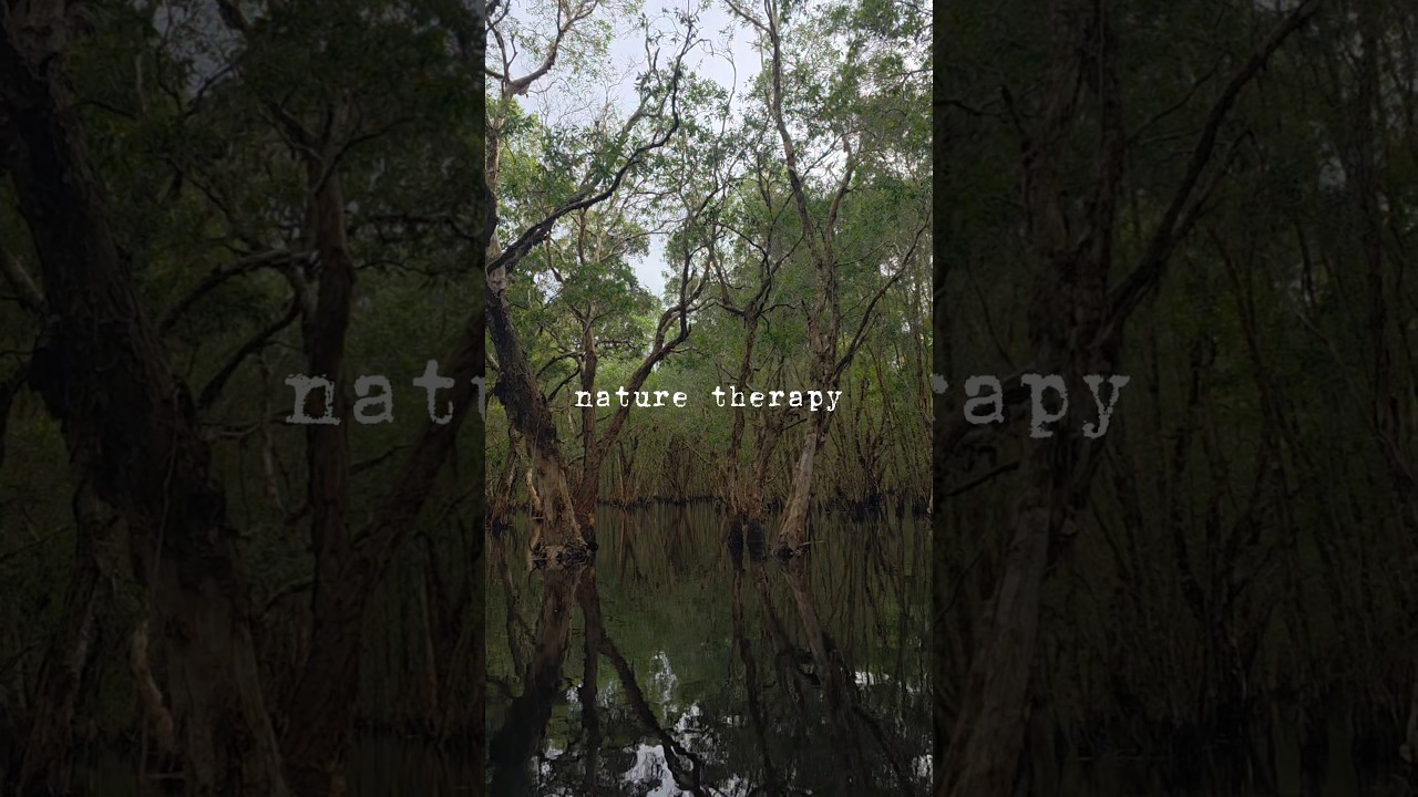 The Art of Stillness | Nature Therapy & Reflections #shorts