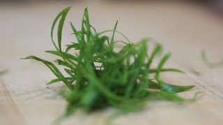 I Finally Figured out how to cut FANCY Green Onions! by Way of Ramen 146,081 views 3 years ago 2 minutes, 20 seconds