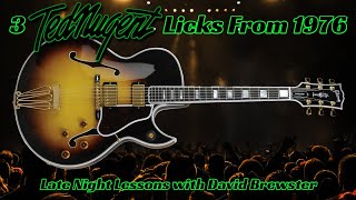 3 Ted Nugent Licks From 1976