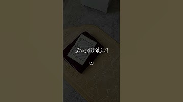 سورة ( يس) اكتب شيء تؤجر عليه ✨🤍 #quran