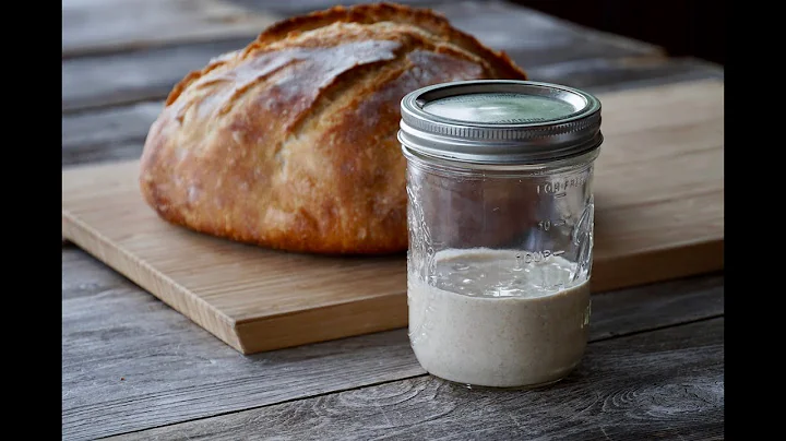 Virtual Taste of History: Sourdough and Its Multip...