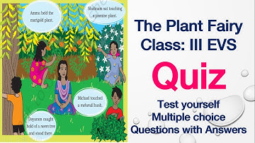 Quiz(Test yourself)-The Plant Fairy-Class 3-EVS-NCERT-CBSE-Multiple Choice Questions