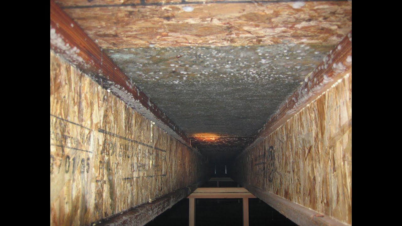 Crawl Spaces & Hidden Mold - YouTube