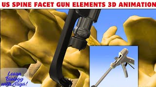 US Spine Facet Gun Elements |  Medical 3D Animation | BiologywithAliya