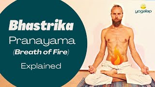 Bhastrika Pranayama/ Breath of Fire Explained | Breathwork & Pranayama with Michaël Bijker