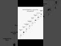 Networking Success Roadmap | Step-by-Step Guide to Master Networking