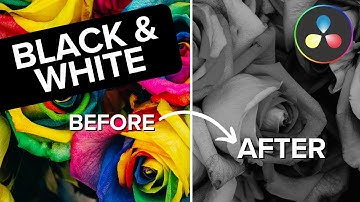 How to Make Videos Black and White in DaVinci Resolve 18