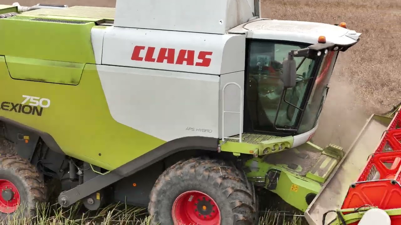 Récolte du colza 2025