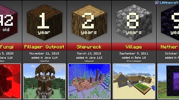 Minecraft: Oldest Structures Comparison (2020)