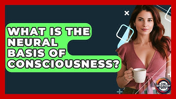 What Is The Neural Basis Of Consciousness? - The Everyday Why