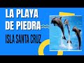 playa de piedra increíble suscribete  para ber mejores videos