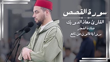 صلاة الفجر للشيخ معاذ الدويك | ما تيسر من سورة القصص | برواية قالون عن نافع