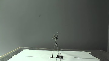 Swinging a Bat - Animation