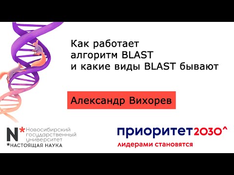 Видео: Является ли blast базой данных?