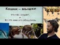 Станислав Дробышевский Кошки-мышки. Кто нас создал?