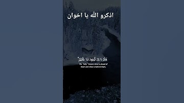 آية الكرسي😢🤲👆❤️ #سورة_البقرة #آية_الكرسي #قرآن #قرآن #قران_كريم