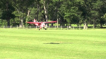 World Models 1/4 Scale Clipped Wing Cub