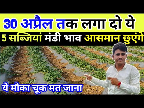 इस गर्मी ये फसल बना देगी करोड़पति। अप्रैल में चुपके से लगा दो ये फसल। अप्रैल में कौनसी सब्जी लगाए