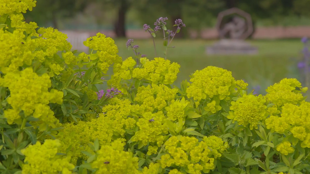 Trentham Gardens - Explore the Italian Gardens