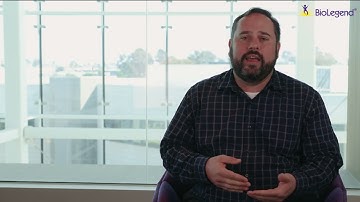 Tech Insights: Spike-In Antibodies to TotalSeq™ Cocktails