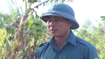 [TIẾNG JRAI] MÔ HÌNH “GIẢM NGHÈO BỀN VỮNG TỪ NHÓM ĐỠ ĐẦU VÙNG KHÓ KHĂN |  VTV5