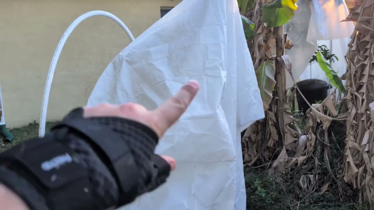 Finalizing Cold Protection