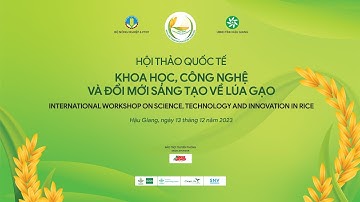 Trực tiếp: Hội thảo Khoa học, Công nghệ và Đổi mới sáng tạo về lúa gạo