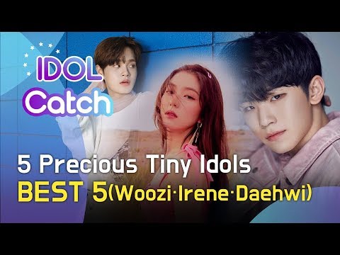 [<strong>IDOL</strong> CATCH] 5 Precious Tiny Idols <strong>BEST</strong> 5 (너무 작고 소중한 아이돌: 우지·아이린·이대휘)