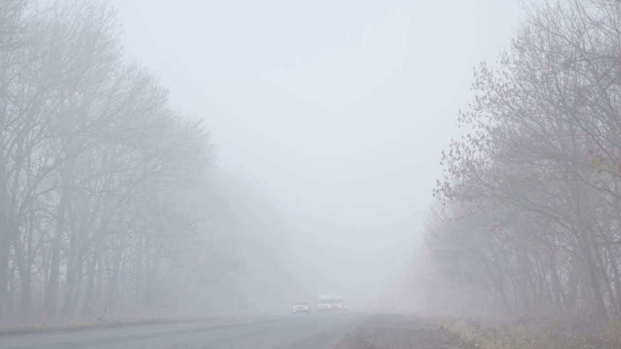 Safety Tip. Driving in Mist