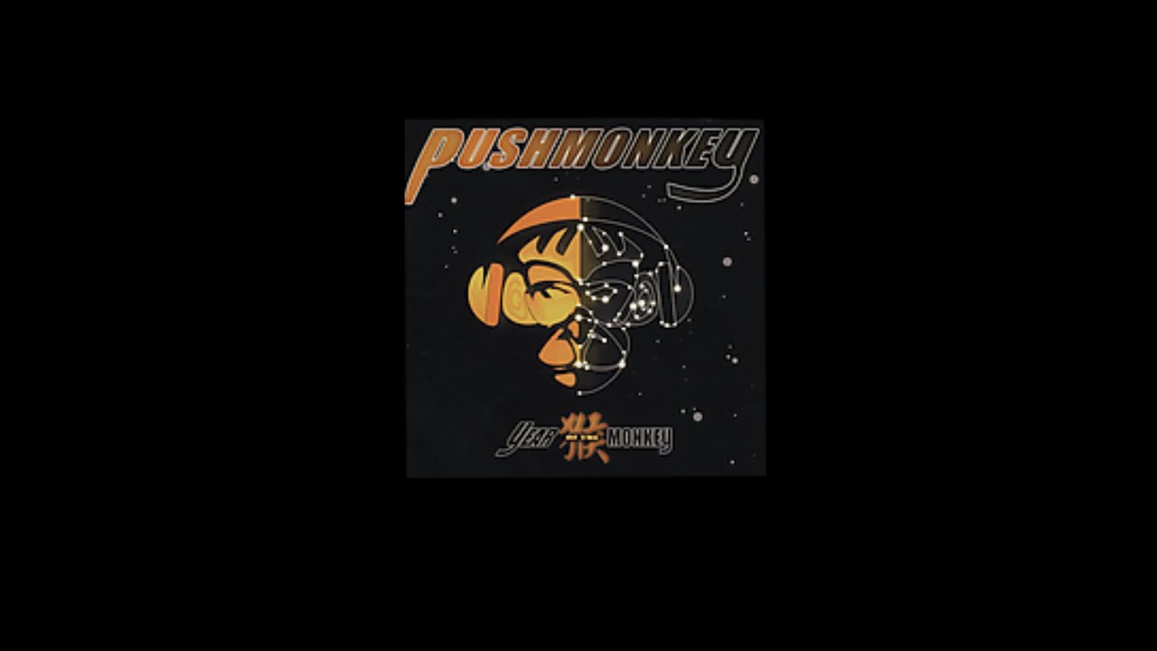 Pushmonkey - Lie To Me - YouTube