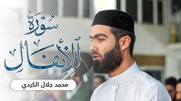 تلاوة هادئة و خاشعة مقطع جميل من سورة الانفال القارئ محمد جلال الكردي