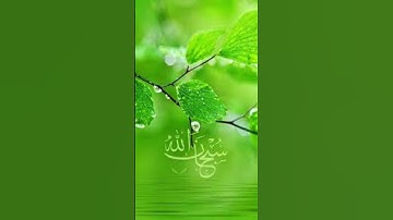 سورة يوسف : الشيخ ماهر المعيقلي