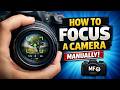 Master Manual Focus (Sharper Shots Every Time)