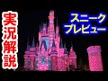 Live Commentary In A Sneak Preview Fundernight Cinderella Castle Environmental Production 2026 Live Commentary In A Sneak Preview Fundernight Cinderella Castle Environmental Production 2026
