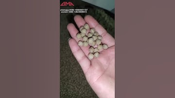 How to Operate LM90 Floating Fish Feed Pellet Machine