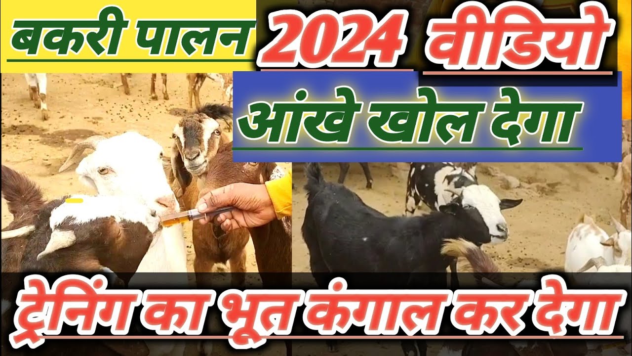 2024 Bakri Palan Me Barbad Hone से कैसे Bache |Vimalumrao - YouTube