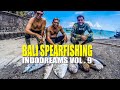 Bali Spearfishing: Indodreams vol 9- The Island of the Gods