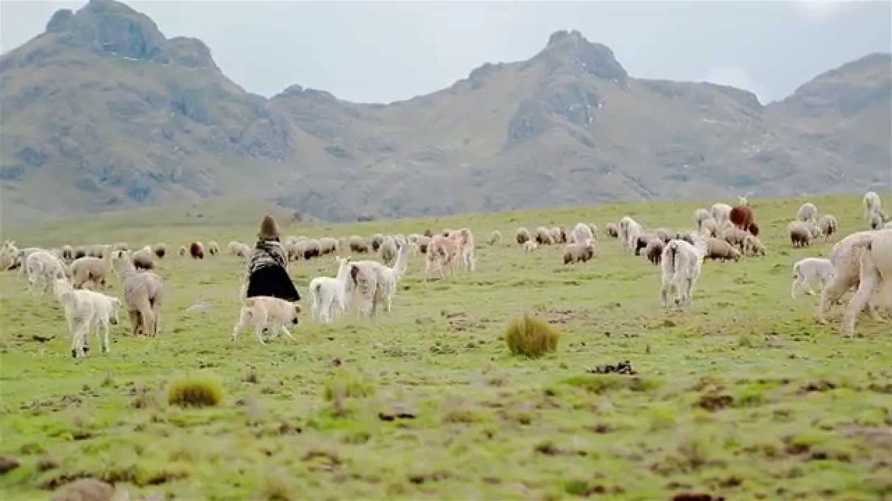 VERONICA CCOMPI "CELOS"primicia 2015 CON VILHUA PRODUCCIONES