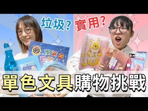 【挑戰】單色文具1000元挑戰 買了好物還是垃圾?[NyoNyoTV妞妞TV]