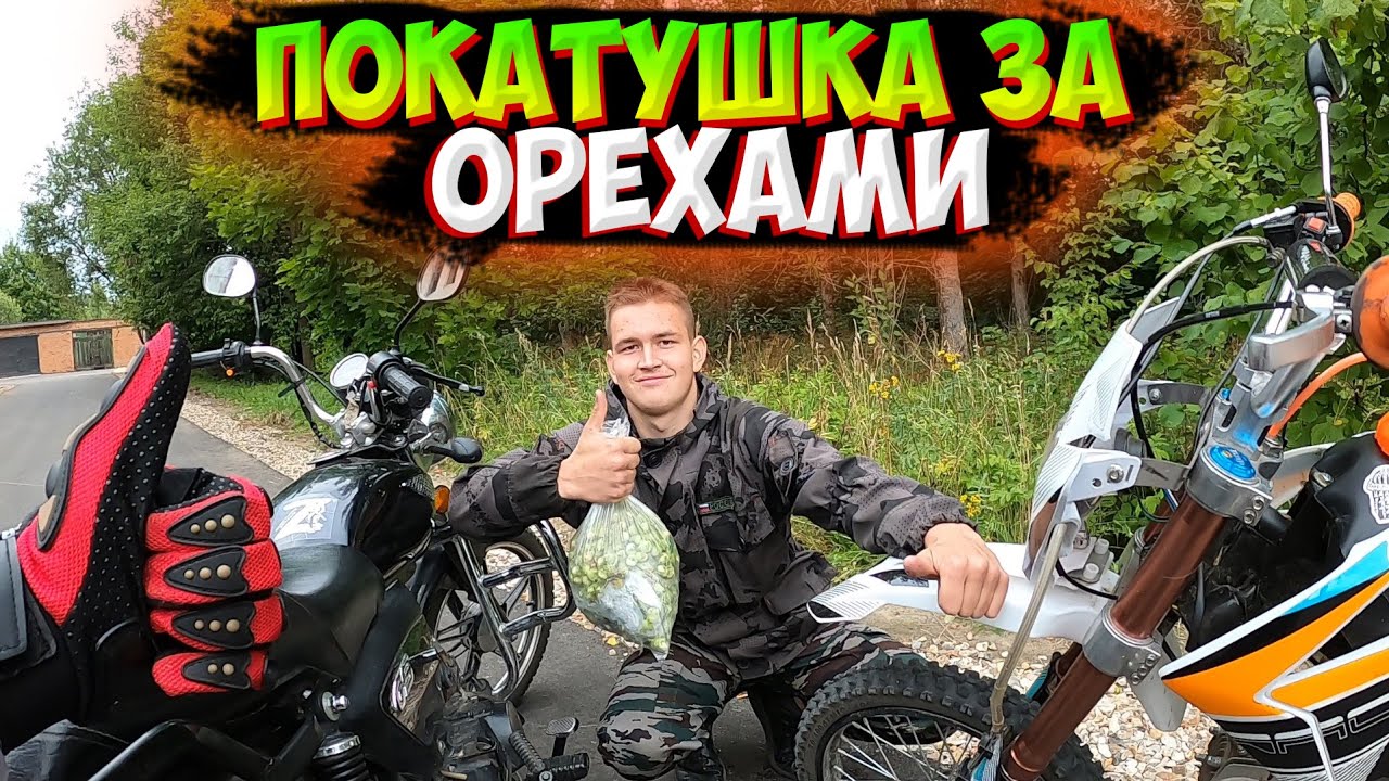 ПОКАТУШКА НА АЛЬФЕ И ПИТБАЙКЕ ЗА ОРЕХАМИ - YouTube