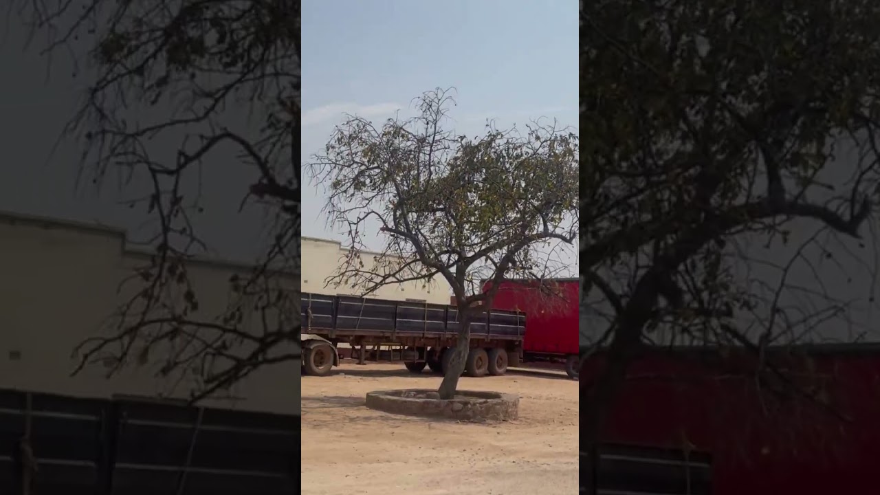 Hlalo Supermarket Entumbane 