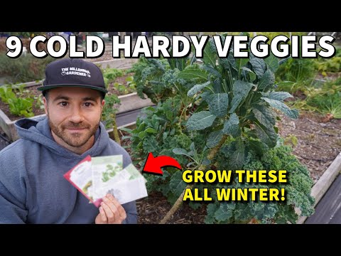 9 Veggies To Plant NOW For Big Harvests All Winter