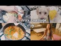 7일 동안 군것질 금지! 일주일 챌린지 🙅🐶🥘 | 요리 해먹기, 독서하기, 설탕이 산책 | One Week Challenge | Vlog