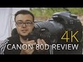 Die BESTE Allround-Kamera!? CANON 80D - 4K Review + Footage