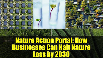 Nature Action Portal: How Businesses Can Halt Nature Loss by 2030