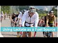 Using Lactate As A Fuel Source Using Lactate As A Fuel Source