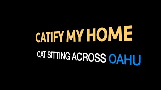 Oahu Cat Sitter Richard Barber  - Catify My Home by Richard Barber 625 views 5 years ago 9 minutes, 5 seconds