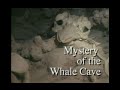 Mystery of the Whale Cave